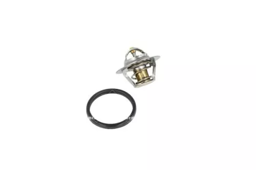 Thermostat, coolant NRF 725064)