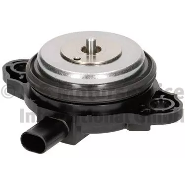 Central Magnet, camshaft adjustment PIERBURG 7.06117.29.0)