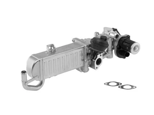EGR Module BorgWarner 710861D)
